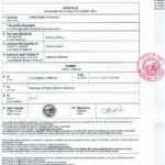 CA DOJ criminal background check, California Department of Justice, criminal record check, background check services, California DOJ background check process, fingerprint background check, Live Scan fingerprinting, criminal history record, DOJ clearance, California background check requirements, employment background check, licensing background check, criminal record review, personal record review, DOJ Live Scan, California background check fee, criminal justice background check, CA DOJ background check form, Live Scan locations, DOJ fingerprinting services.